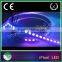 DC 5V ws2812b pixel led strip
