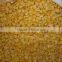 High Quality New Crop Frozen Sweet Corn Kernel
