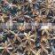 MANUFACTURER OF VIETNAM AUTUMN STAR ANISEED