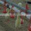 auto controlled chicken breeding machine poultry breeding equipment