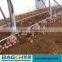 New Modern Poultry Hopper Feeding System for Broiler