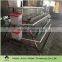 uganda poultry farm automatic chicken layer cage