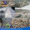 Protecting River Beds Galvanized or PVC/PE Coated Gabion Box