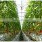Vertical greenhouse growing system