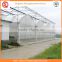 Agriculture equipment multi-span 6.0m PO film greenhouse for sale