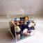 Acrylic Divided Coffee Capsule Storage Boxes