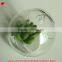 Hanging succulents mini plants artificial glass potted plants