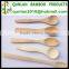 Natural Ice Cream Sample Spoons