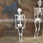 Halloween Skeleton 100% Plastic 165cm Life Size Jointed-N-Stay Hanging Human Skeleton for Halloween Decoration Halloween Props