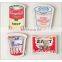 Teaching material Hot Selling Promotional Magnet badge