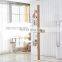 North European Style Simple cat climbing frame with scratching post toy