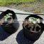 fast delivery planting felt growing bag