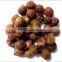 Organic Quality Soapnut Shell For Bulk Traders