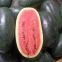 Early maturity red flesh hybrid f1 watermelon seeds