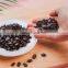 Best price watermelon seeds from Vietnam