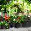 Amazon Hot Sold 3 7 10 15 20 25 100 Gallon Plant Bag Eco Friendly Planter Non-Woven Garden Fabric Pots Felt Grow Bag