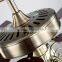 Best Metal Material Glass Lampshade Outdoor Ceiling Fan With Light