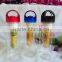 OEM welcomed Portable Fruit Infuser Water Bottle