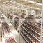 Good quality cheap price and hot sale types of sheds for broiler