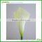 Artificial Flowers Calla Lily Factory Production And Manufacturing
