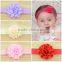 Deshine New Design Wholesale Flowers Cheap Headband H-95