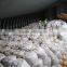 Factory price and good quality of Corn Fiber Feed