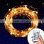100 LEDs 33 ft Copper Wire, Warm White, Remote Control Outdoor String Lights, Dimmable LED String Lights Festival LED String