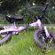 12 INCHES LIGHTWEIGHT ALLOY FRAME PUSH BIKE WALK BIKE BALANCE BIKE (T-12005)