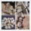 Vegetable Isolated Protein Production Line/Textured Soya Nuggets Protein Production Line