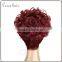 short cosplay wig lace wig human hair for christmas or halloween party wig