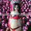 custom printing inflatable hand punching bag toy for advertising