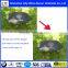 Fashion Customized 23''8k UV Changing Color Printing Promotional Wholesale Umbrella in Factory