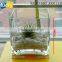 wholesale clear square glass vase , vase glass ,glass flower vases