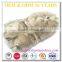 China Factory Toys,new Product Animal Shaped Slippers,pet Toys