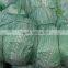 18kg or 20kg Package Round Cabbage