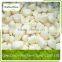 Chinese White Frozen Garlic