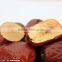 China red Dried Fruit Healthy date for high quality