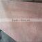 Plain Plywood with Keruing/Gurjan from Kego Co