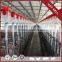China Manufacturer Save Breeding Cost Pig Farming Equipment Drinking Pigs