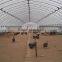 Fire retardant chicken greenhouse ,chicken house ,fiberglass chicken shed
