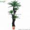 SJ300915 Decorative cycas revoluta tree/artificial cycas revoluta bonsai plant