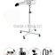 New Fasionable Lowest Price Pet Dryer for Dog, Cat, Other Animals Multifunction