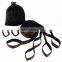 Hammock Tree Straps 2 Pack with Carabiners - Durable, Strong and No Stretch Hammock Suspension System,Hanging Straps Set