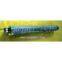 Polyurethane Roller
