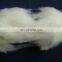 Pure mongolian 100%cashmere fibre white 16.5mic/32-34mm