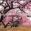 Customized Full Color 3d lenticular For Your Own Design Poster Printing