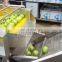 Industrial Automatic Fruit and Vegetable Washing Machine and Air Dryer