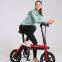 14 Inch  Foldable electric Bike