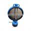 ductile iron worm driven wafer butterfly valve,flange type wafer butterfly valves