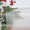 3.2mm 4mm 5mm 6mm 8mm 10mm 12mm Low Iron Ultra/ Extra Clear Glass